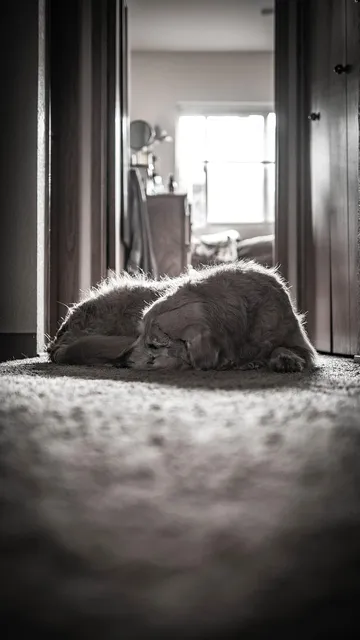 #