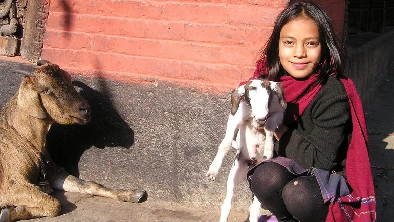 Future of real estate in Kathmandu